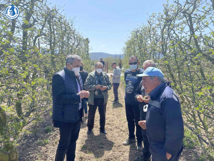 αγροτεσ τζιουμησ